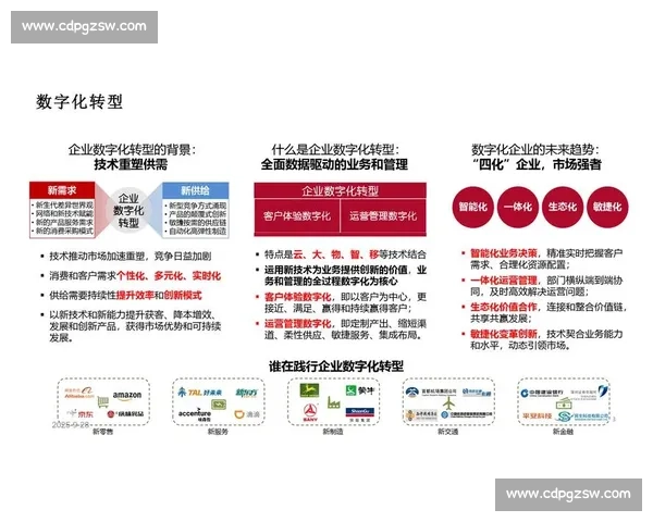 面向数字化转型的企业整体解决方案创新实践路径与升级策略研究探索 面向数字化转型的企业整体解决方案创新实践路径与升级策略研究探索